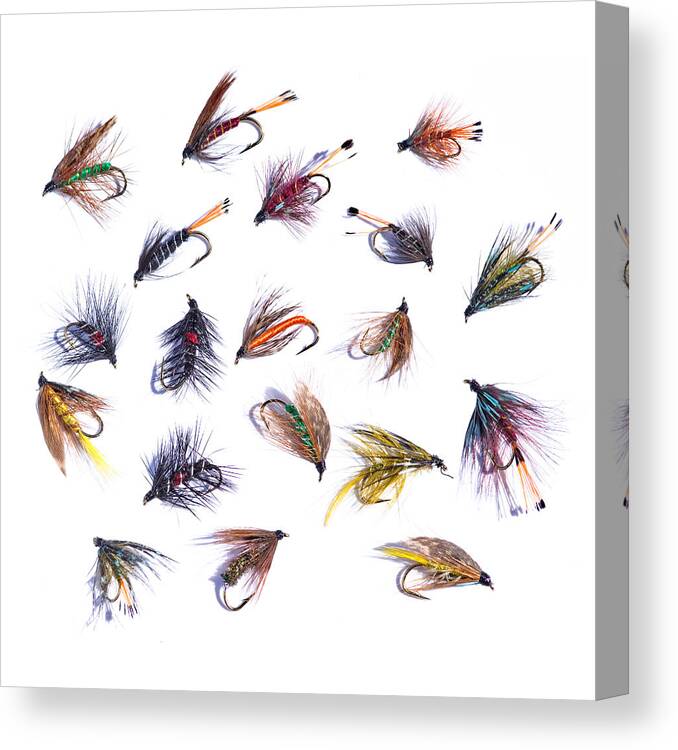 Flies Canvas Print featuring the photograph Gone Fishing by Meirion Matthias