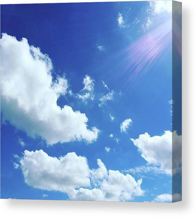 Plants Canvas Print featuring the photograph Good Morning 😉 
blue Sky !! by Mutsuko Shibui