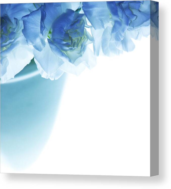 Carnations Canvas Print featuring the photograph Got The Blues by Rebecca Cozart