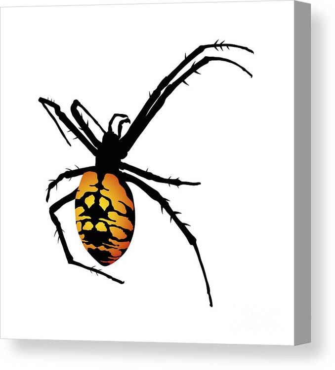 Graphic Animal Canvas Print featuring the digital art Graphic Spider Black and Yellow Orange by MM Anderson
