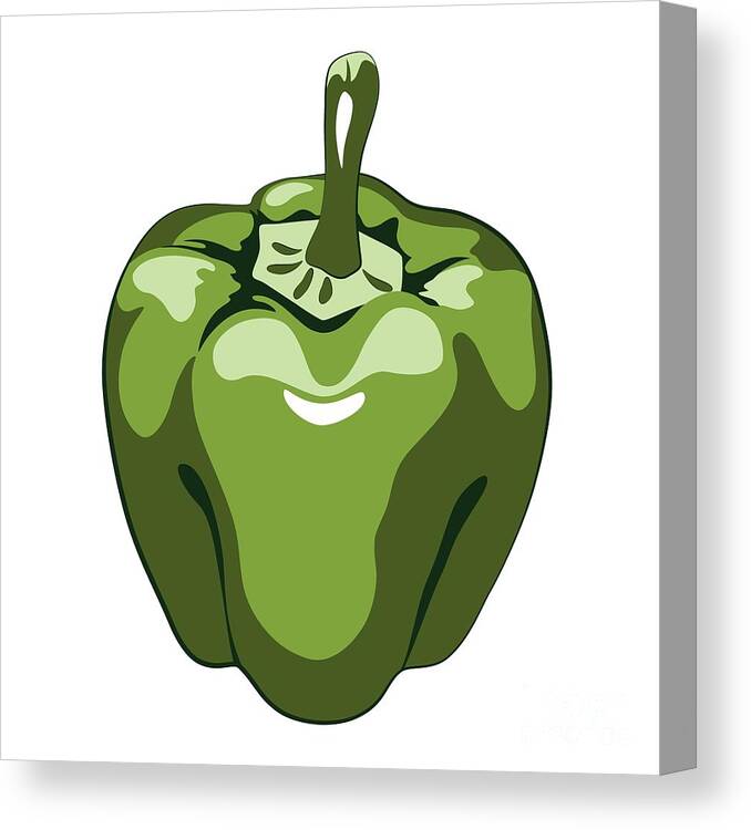 Pepper Canvas Print featuring the digital art Green Bell Pepper by MM Anderson