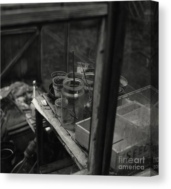 Greenhouse Canvas Print featuring the photograph Greenhouse by Clayton Bastiani