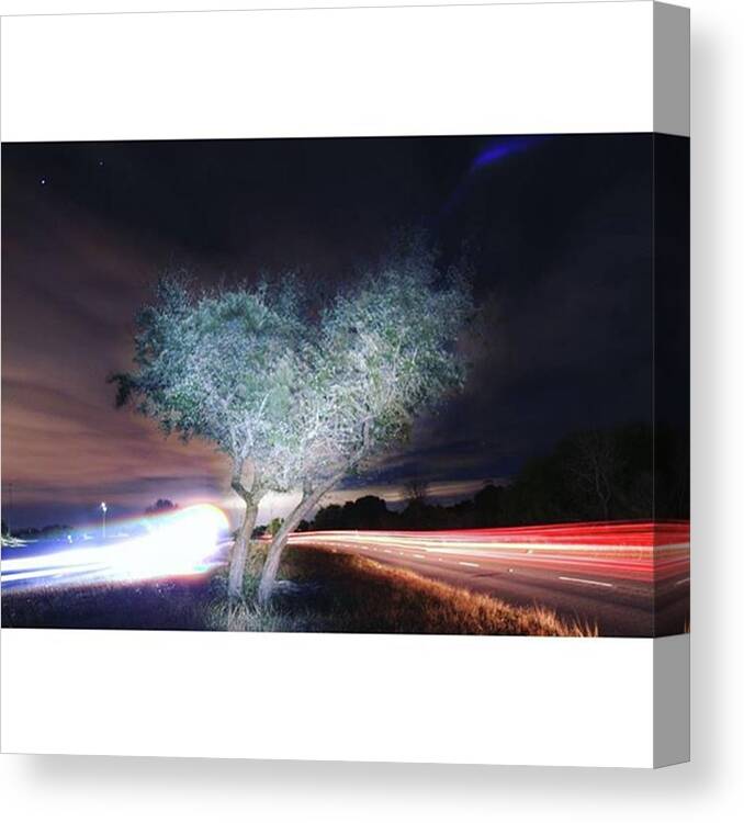 Likesforlikes Canvas Print featuring the photograph Grow Love Regardless Which Way You Go! by Andrew Nourse