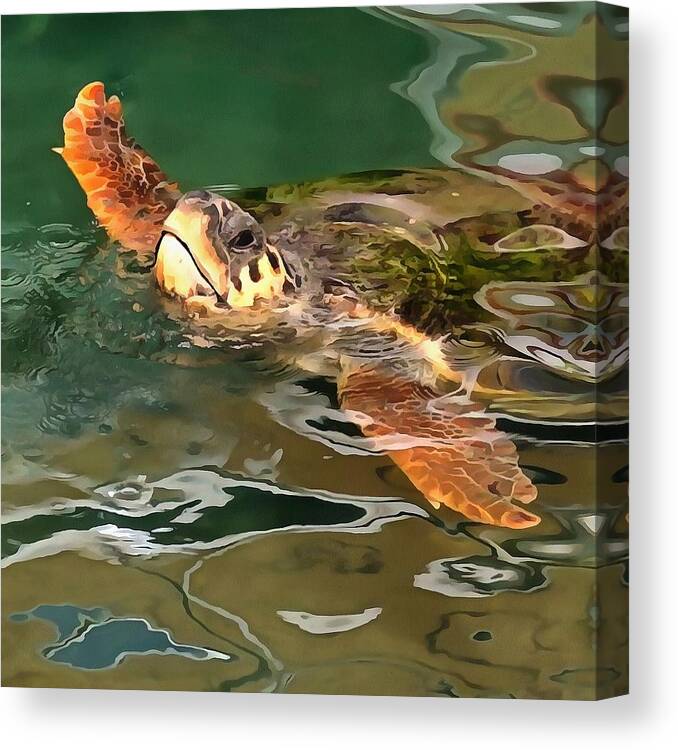 Animal Canvas Print featuring the painting Hands Up For A Plastic Free Ocean Loggerhead Turtle by Taiche Acrylic Art