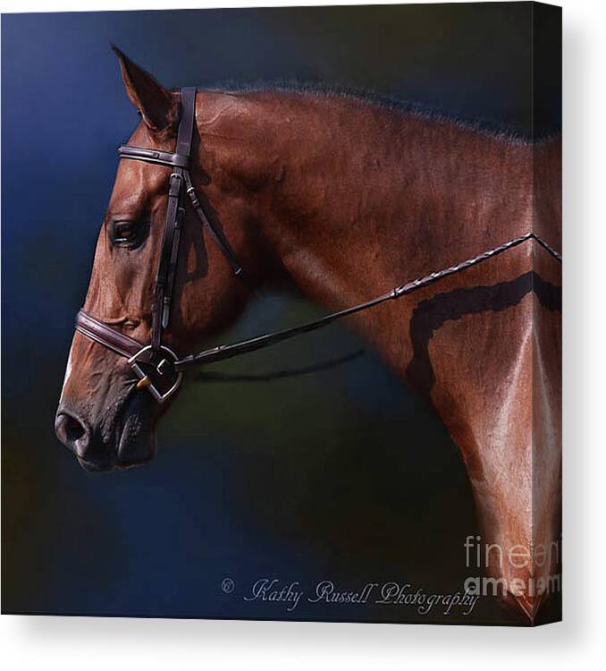 Horse Canvas Print featuring the photograph Handsome Profile by Kathy Russell
