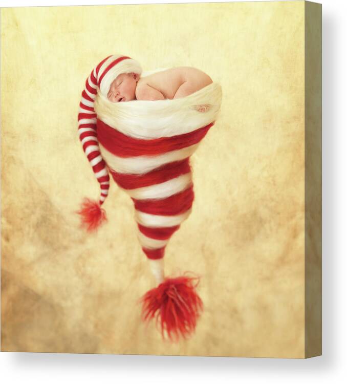 Holiday Canvas Print featuring the photograph Happy Holidays by Anne Geddes