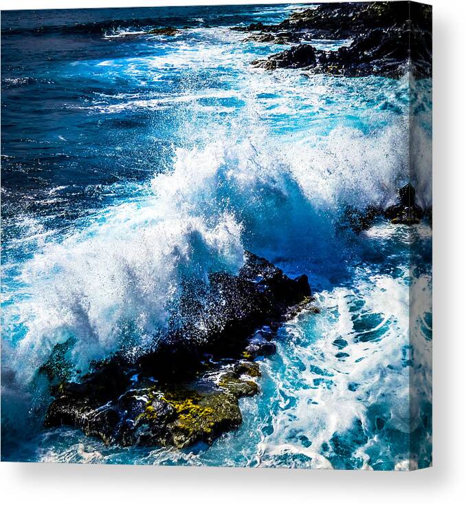 Hawaii Canvas Print featuring the photograph Hawaii Splash by Pamela Newcomb