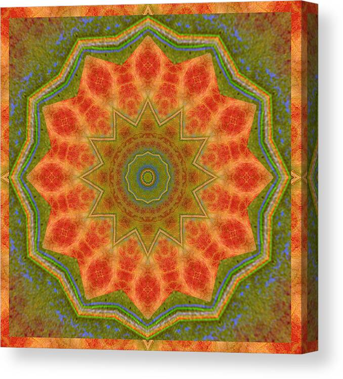  Canvas Print featuring the photograph Healing Mandala 14 by Bell And Todd