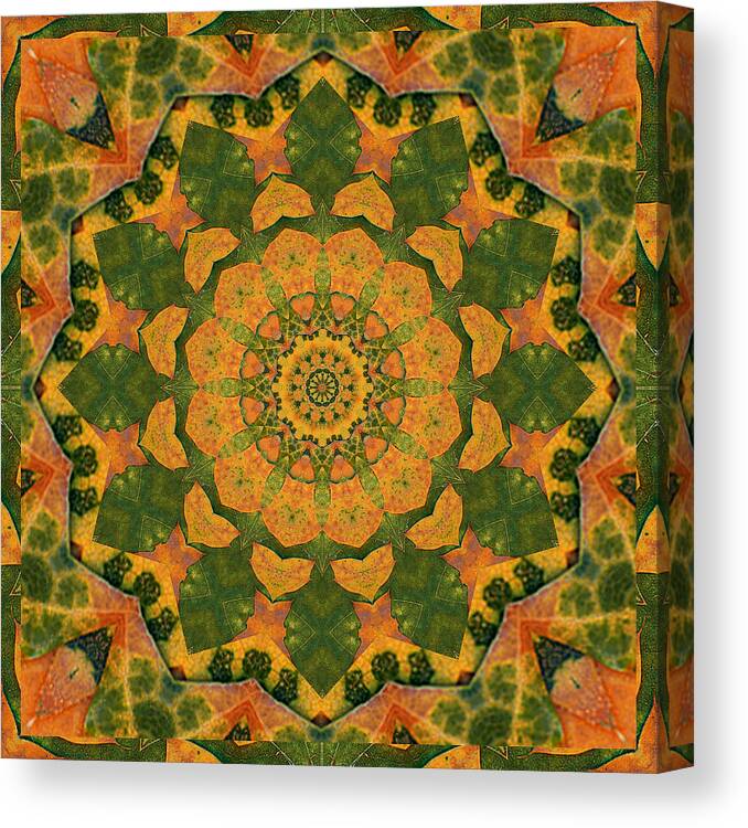 Mandalas Canvas Print featuring the photograph Healing Mandala 9 by Bell And Todd