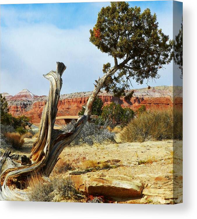 High Canvas Print featuring the photograph High desert by Elizabeth Mix