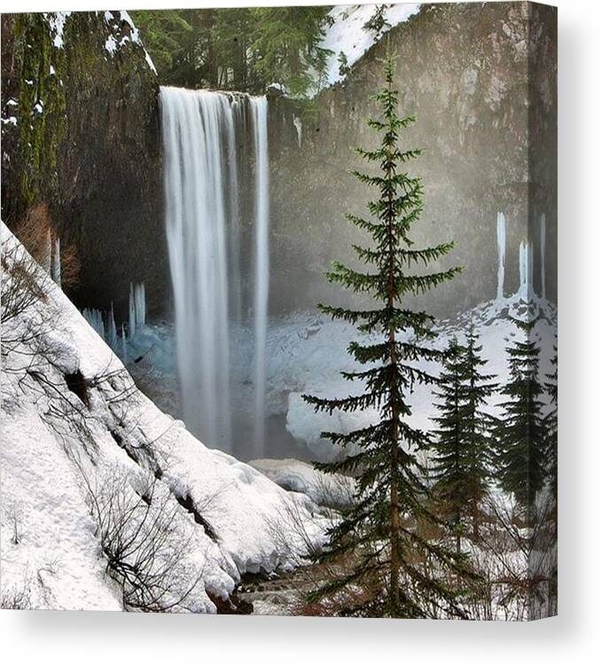  Canvas Print featuring the photograph Hiking In The Mt. Hood National Forest by Mike Warner