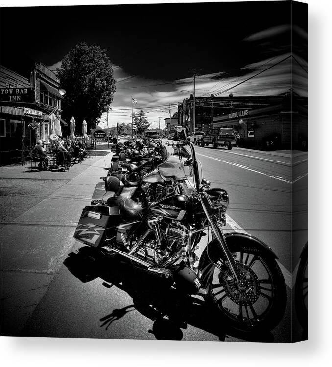 Hogs In Old Forge Canvas Print featuring the photograph Hogs in Old Forge by David Patterson