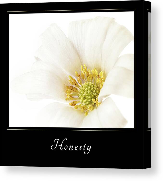 Inspiration Canvas Print featuring the photograph Honesty 2 by Mary Jo Allen