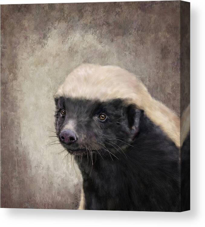 Honey Badger Canvas Print featuring the painting Honey Badger by Mandy Tabatt