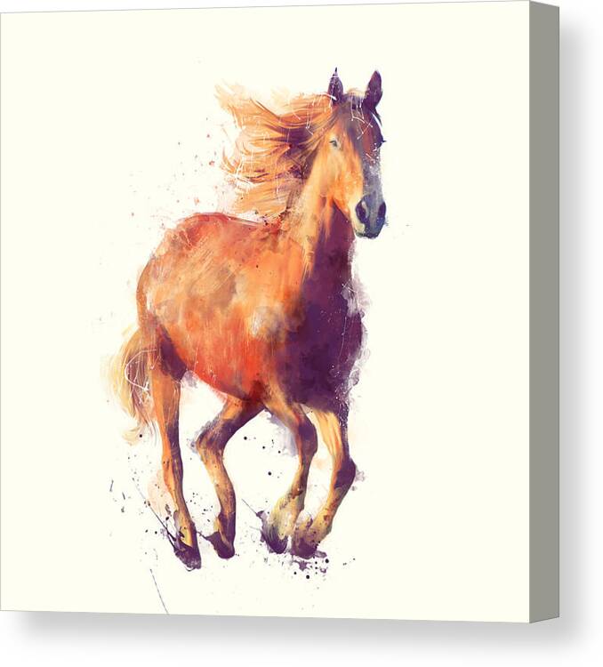 Horse Canvas Print featuring the painting Horse // Boundless by Amy Hamilton