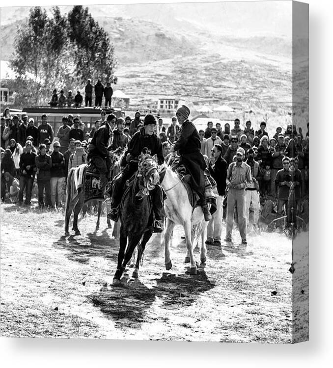 Control Canvas Print featuring the photograph Horse Control, Zanskar, Jammu And by Aleck Cartwright