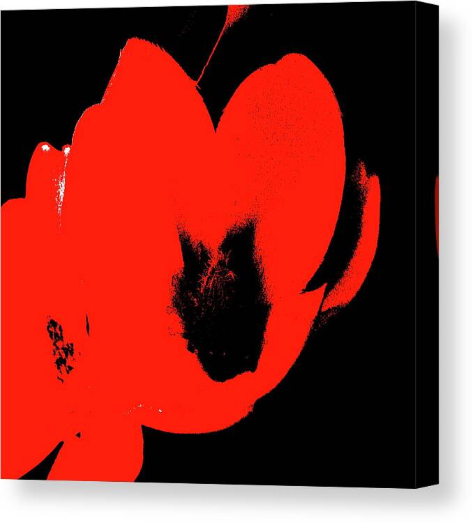 Flowers Canvas Print featuring the photograph Hot Blooms II by Herb Dickinson