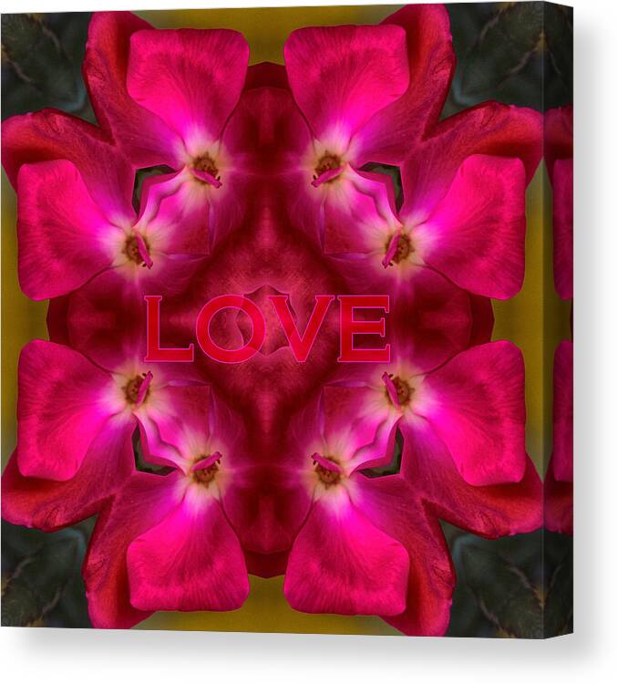 Kaleidoscope Design Canvas Print featuring the photograph Hot Love by Mary Buck