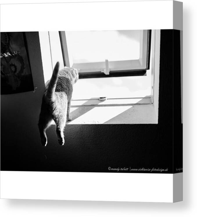 Canon5dmarkiii Canvas Print featuring the photograph Huepfend Nach Draussen Von Der Buehne ab by Mandy Tabatt