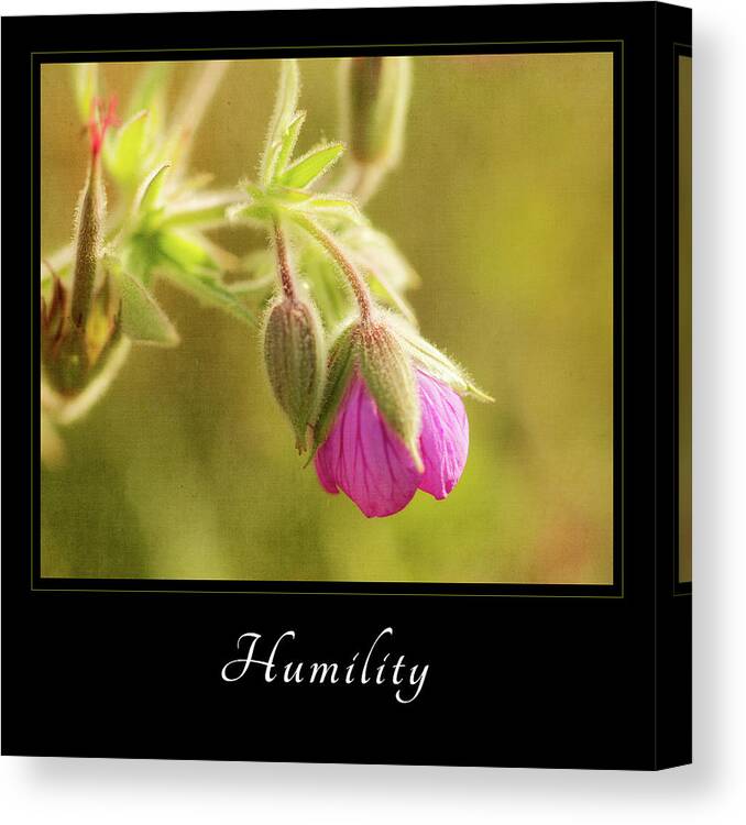 Inspiration Canvas Print featuring the photograph Humility 3 by Mary Jo Allen