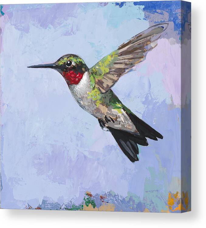 Hummingbird Canvas Print featuring the painting Hummingbird #3 by David Palmer