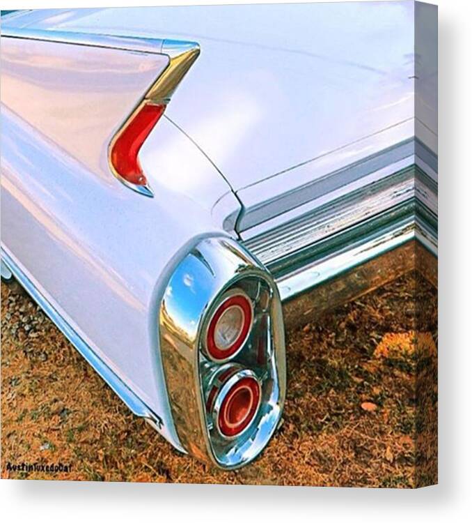 Classicscene Canvas Print featuring the photograph I Have #carfin by Austin Tuxedo Cat