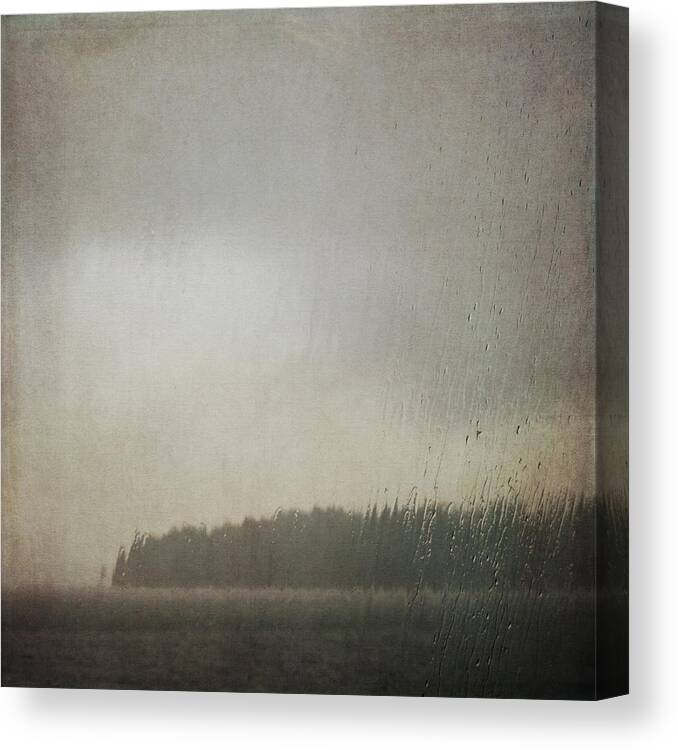Rain Canvas Print featuring the photograph Illuminated Rain by Sally Banfill