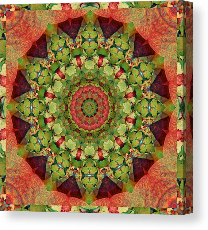 Mandalas Canvas Print featuring the photograph Illumination by Bell And Todd