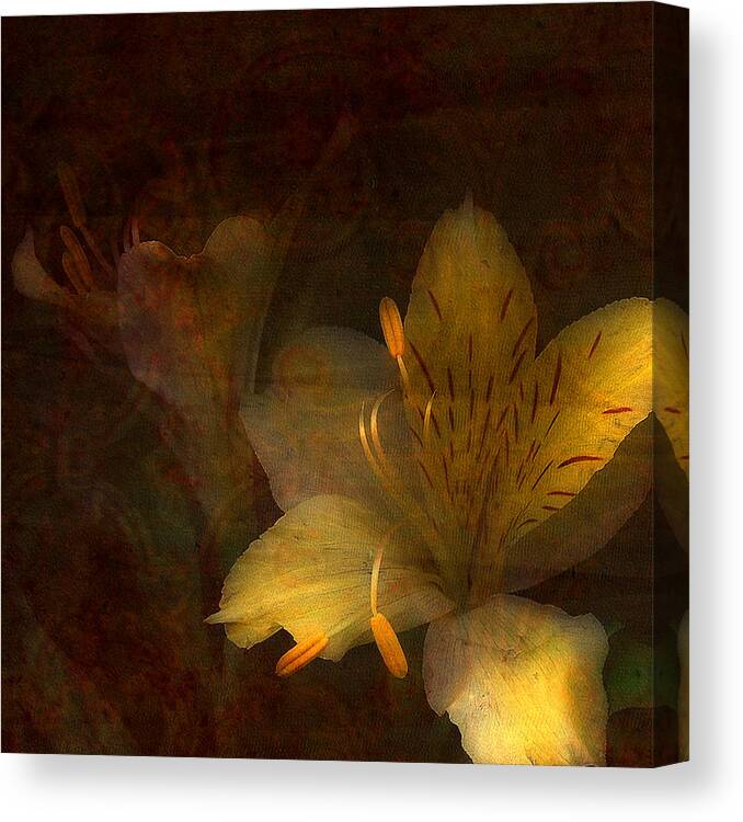 Day Lilies Canvas Print featuring the photograph Illumination by Bonnie Bruno