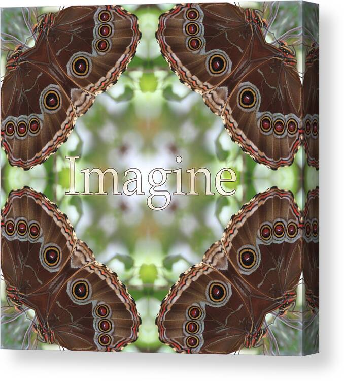Abstract Art Canvas Print featuring the photograph Imagine by Mary Buck