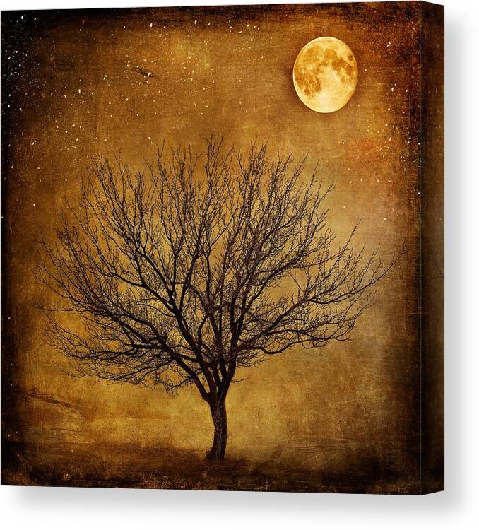 Tree Canvas Print featuring the photograph In The Air Tonight by Movie Poster Prints