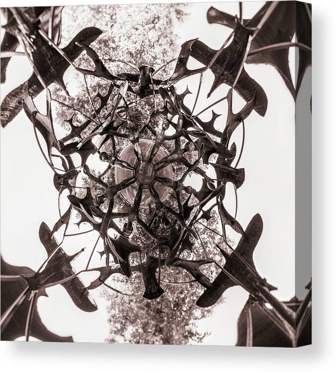 Birds Excited Into Flight Canvas Print featuring the photograph In the Center of Seven under Birds BW - Tiny Planet by Chris Bordeleau