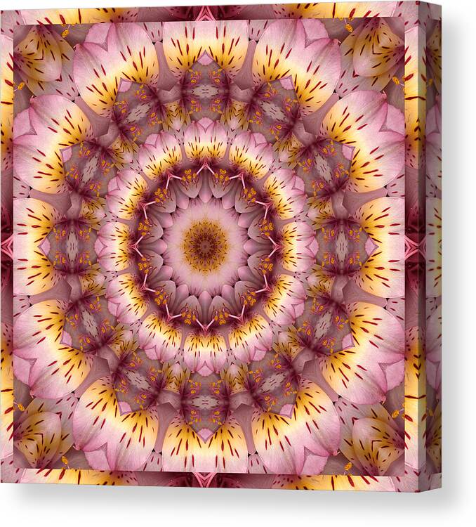 Mandalas Canvas Print featuring the photograph Inspiration by Bell And Todd