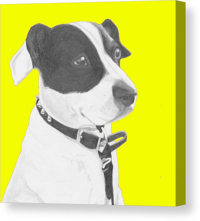 Jack Canvas Print featuring the drawing Jack Russell Crossbreed in Yellow Headshot by David Smith