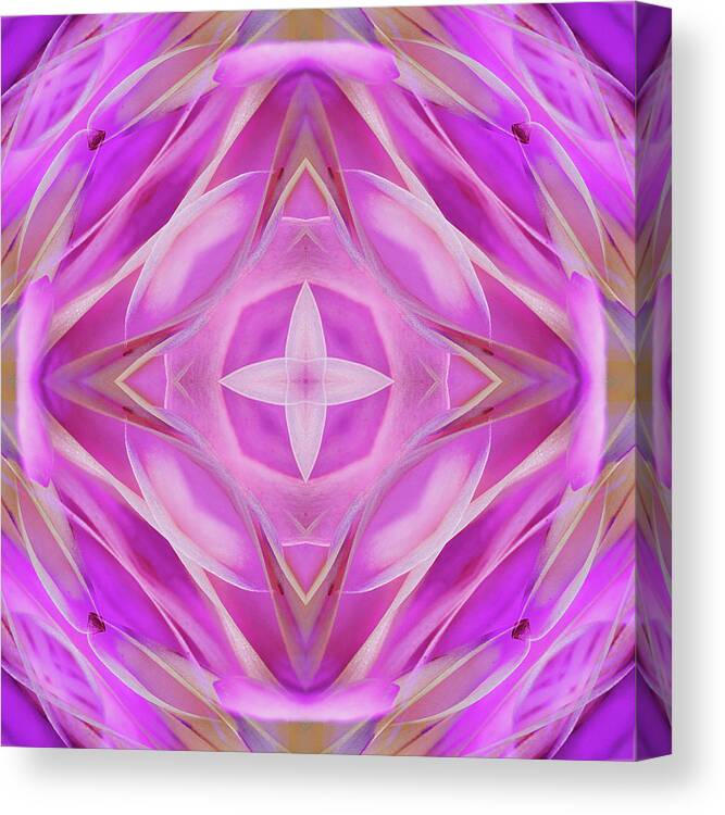 Kaleidoscope Canvas Print featuring the photograph Kal6 by Morgan Wright