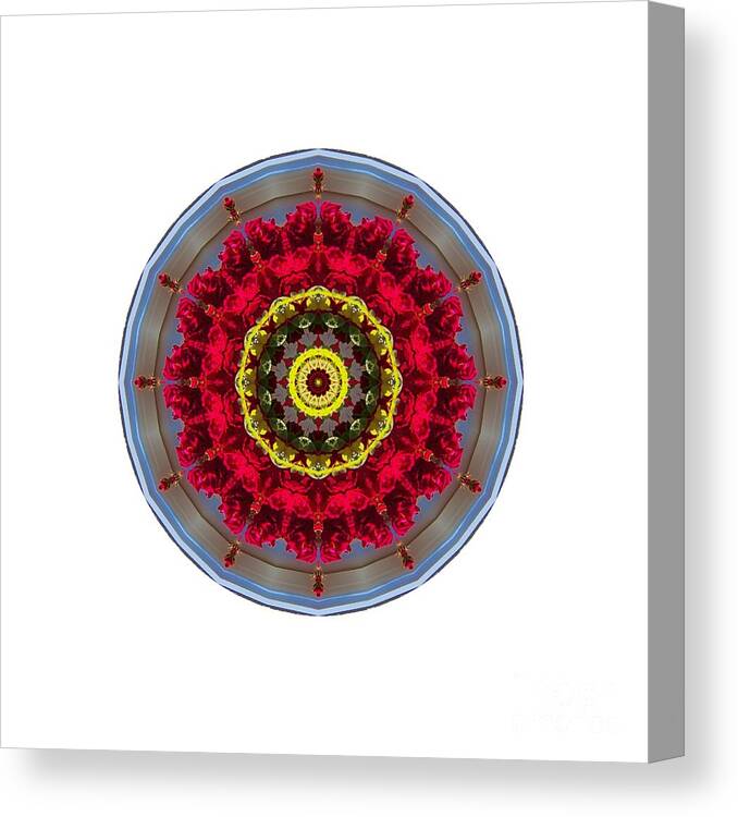 Kaleidoscope Canvas Print featuring the photograph Kaleidos - Nantucket Rose01 by Jack Torcello