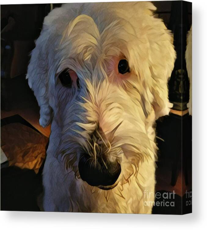 Dog Canvas Print featuring the photograph Katie Jean Lynn by Jodie Marie Anne Richardson Traugott     aka jm-ART