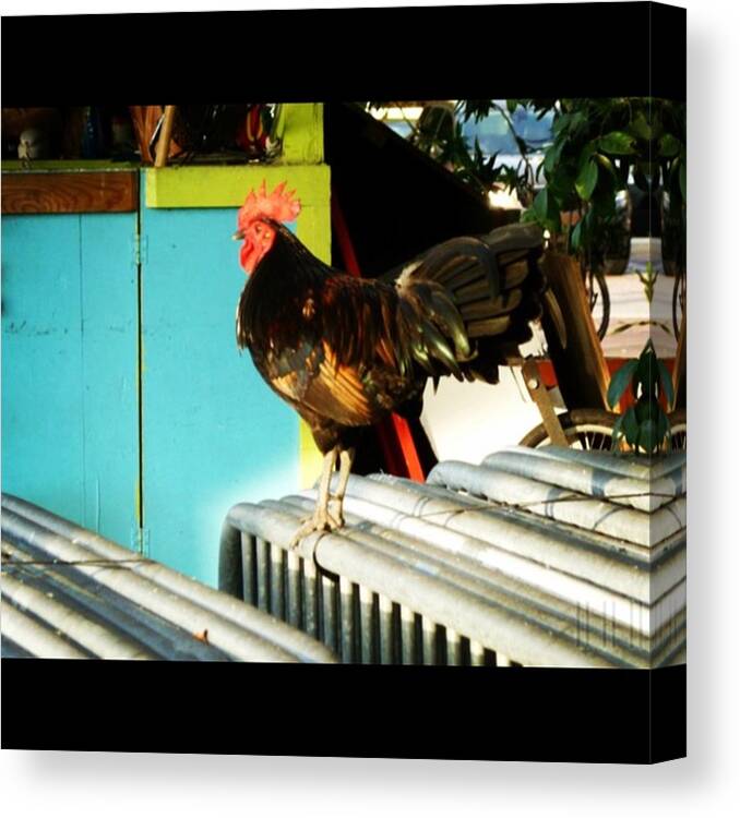 Colorful Canvas Print featuring the photograph #keywest #instagood #photo #igers by Jason Freedman