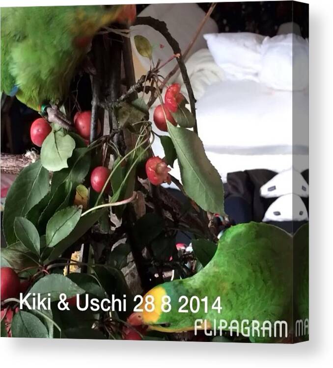 Lovebirds Canvas Print featuring the photograph Kiki & Uschi 28 8 2014
#flipagram Mit by Alessandro Lo Monaco 