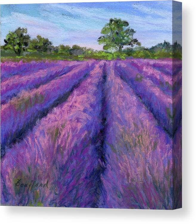 Lavender Canvas Print featuring the pastel Lavender Field by Vikki Bouffard