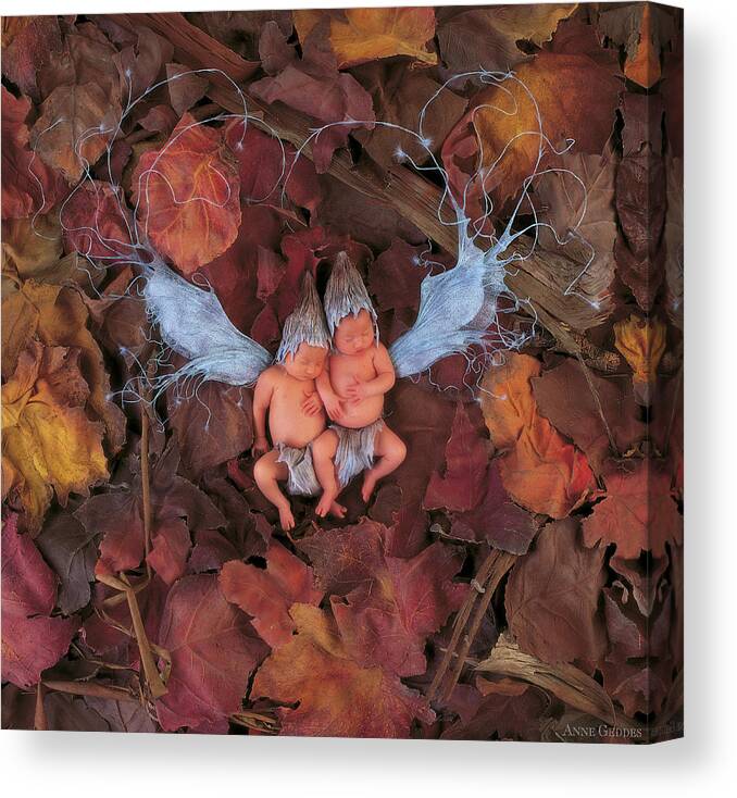 Autumn Canvas Print featuring the photograph Fall Leaf Fairies by Anne Geddes