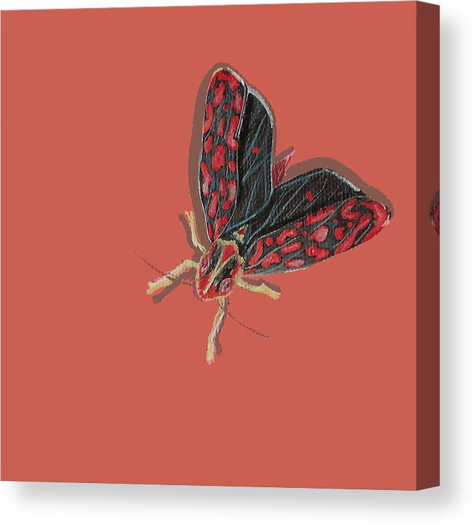 Bugs Canvas Print featuring the painting Leafhopper by Jude Labuszewski