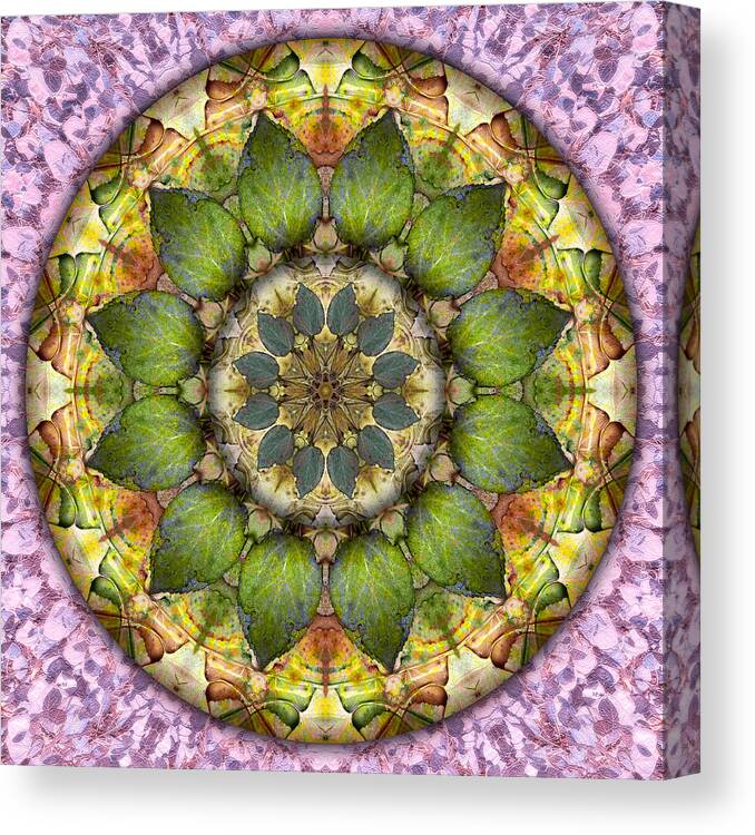 Symbolism Mandala Canvas Print featuring the digital art Leaves of Glass by Becky Titus