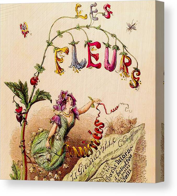 Vintage Illustration Canvas Print featuring the drawing Les Fleurs by Bonnie Bruno