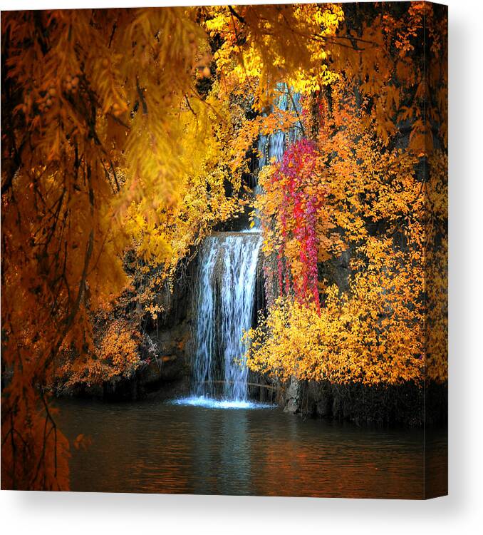 Waterfall Canvas Print featuring the photograph Let It Flow by Philippe Sainte-Laudy