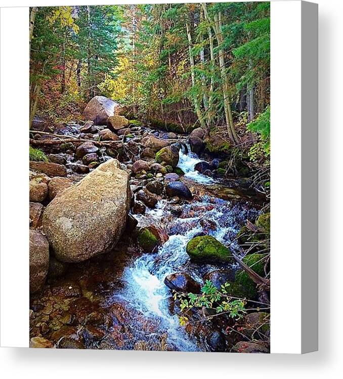 Mountains Canvas Print featuring the photograph Let Us Not Seek The Republican Answer by LeAnne Kartchner