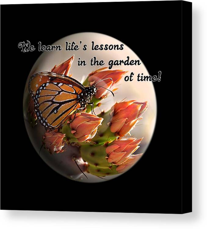 Orb Canvas Print featuring the photograph Life's Garden by Phyllis Denton