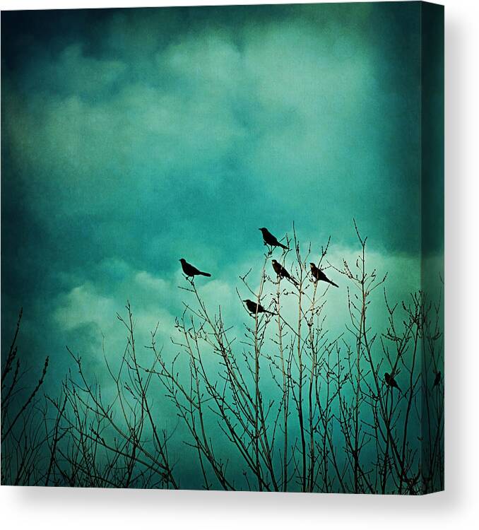 Birds Canvas Print featuring the photograph Like Birds on Trees by Trish Mistric