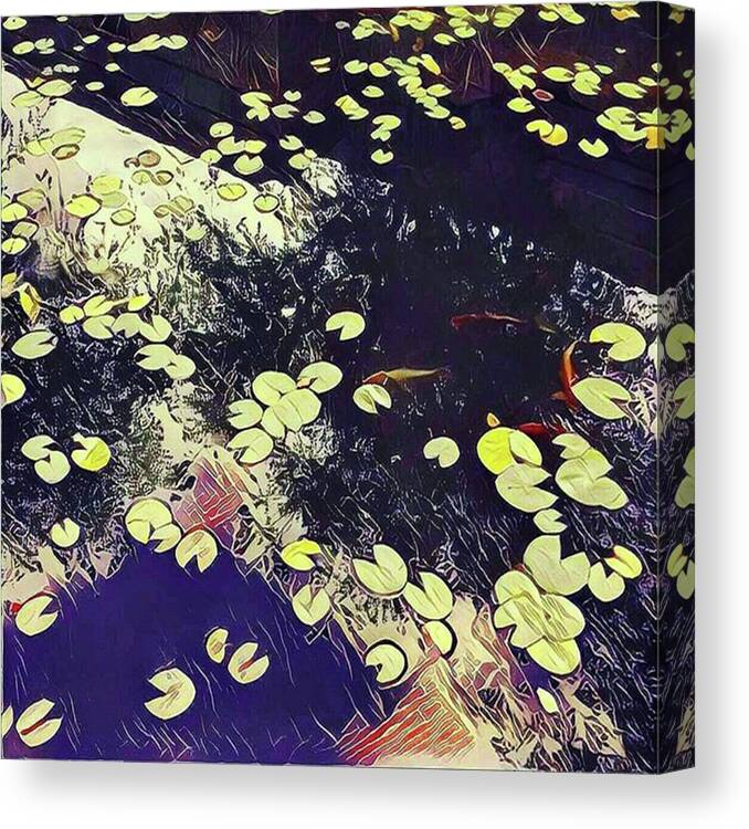 Summer Canvas Print featuring the photograph #lilypad #koi #reflection #prisma by Kazan Durante
