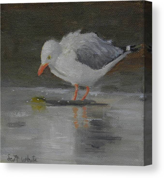 Seagull Landscape Birds Water Ocean Canvas Print featuring the painting Looking for Scraps by Scott W White